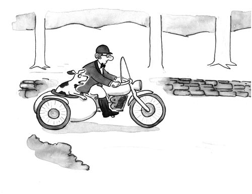 Going on a fox hunt.