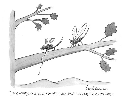 "Hey, Honey, our life cycle is too short to play hard to get."
