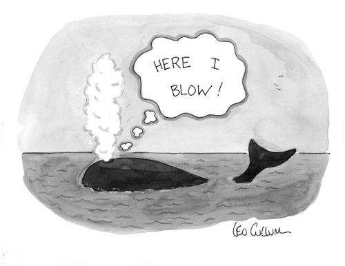 "Here I blow!"