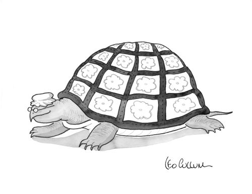 A granny tortoise with a quilted shell.