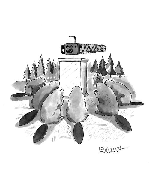 Beavers worshipping a chainsaw.