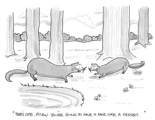 "That's life, Ellen. You're going to have a face like a ferret.''