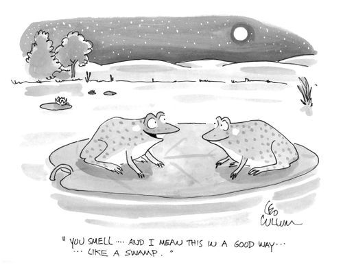 "You smell … and I mean this in a good way … like a swamp."