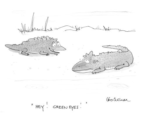 "Hey! Green eyes!"
