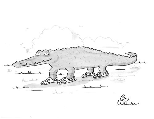 Crocodile Shoes