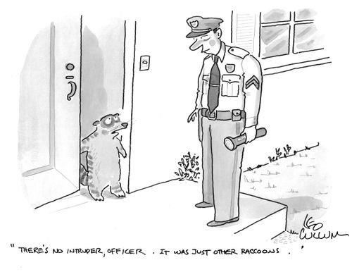 "There's no intruder, officer. It was just other raccoons."