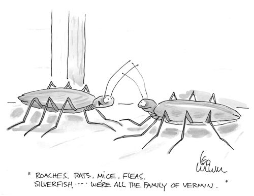 "Roaches, rats, mice, fleas, silverfish… we're all the family of vermin."