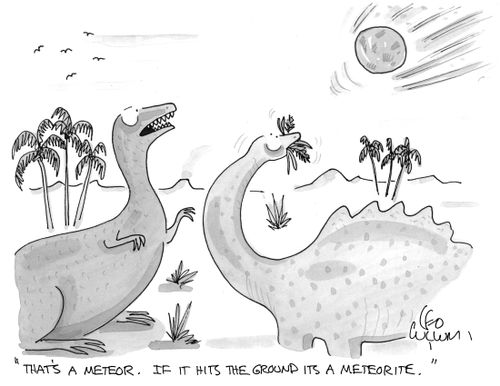 "That's a meteor. If it hits the ground its a meteorite."