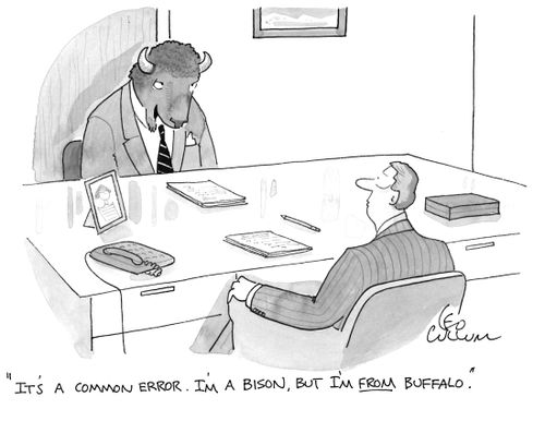 "It's a common error. I'm a bison, but I'm from Buffalo."