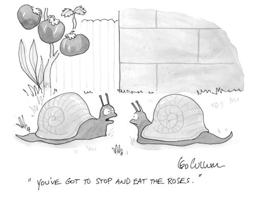 "You've got to stop and eat the roses."