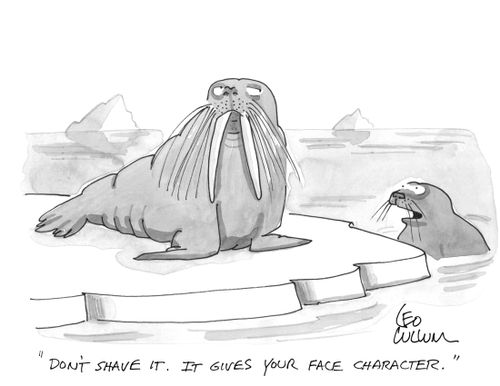 "Don't shave it. It gives your face character."