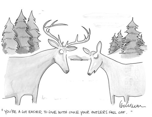 "You're a lot easier to live with once your antlers fall off."