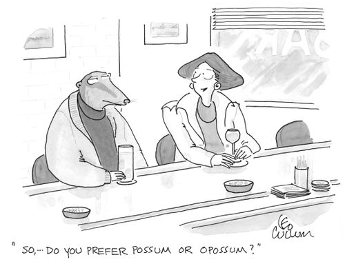 "So, … do you prefer possum or opossum?''