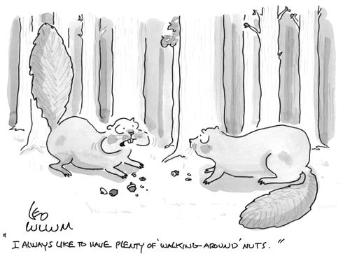 "I always like to have plenty of 'walking around' nuts."