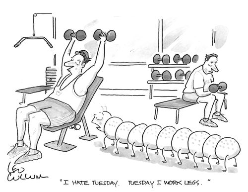 "I hate Tuesday. Tuesday I work legs."