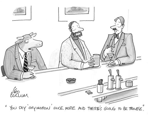 "You say 'oxymoron' once more and there's going to be trouble."