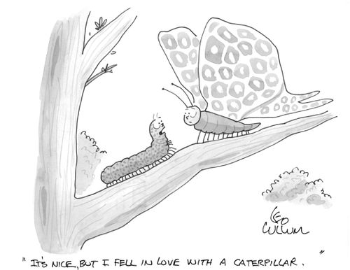 "It's nice, but I fell in love with a caterpillar."