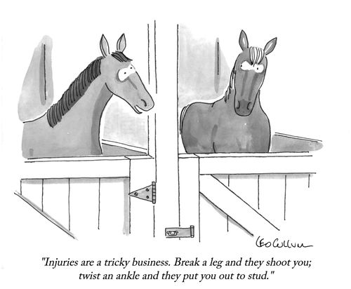 "Injuries are a tricky business. Break a leg and they shoot you; twist an ankle and they put you out to stud."