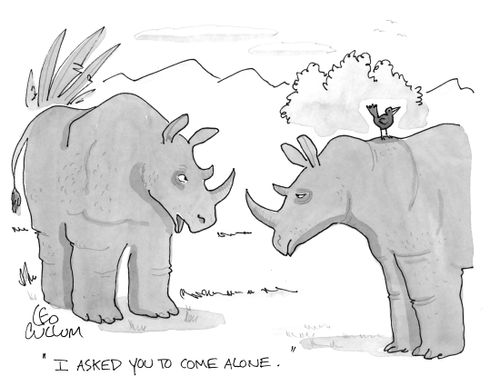 "I asked you to come alone."