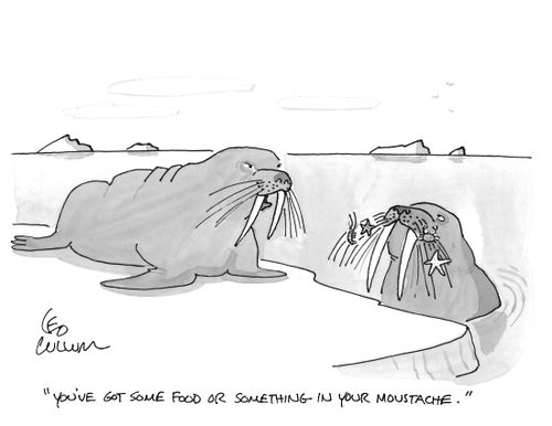 "You've got some food or something in your moustache."