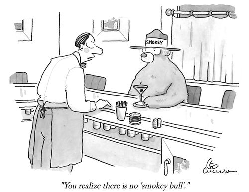 "You realize there is no 'smokey bull'."