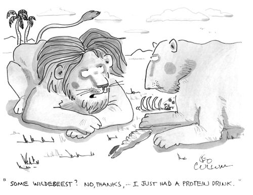 "Some wildebeest? No, thanks, ... I just had a protein drink."