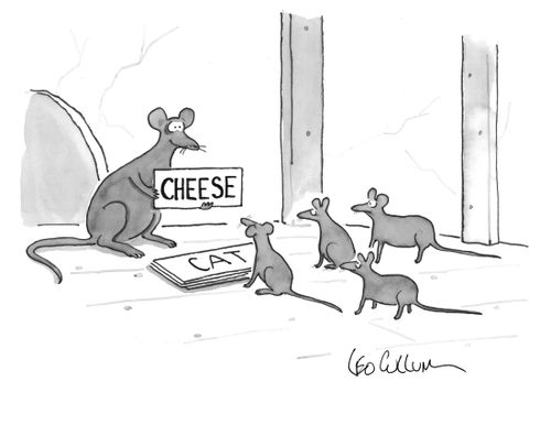 Mice taking lessons.