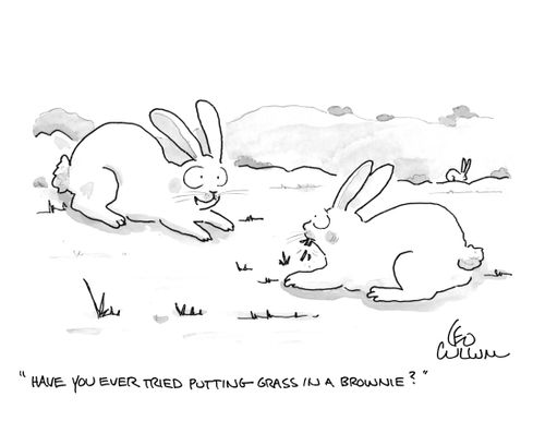 "Have you ever tried putting grass in a brownie?"