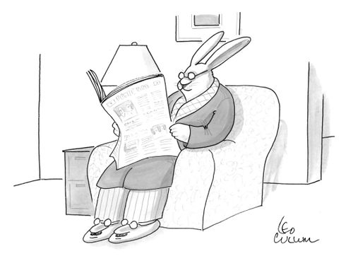 A rabbit wearing slippers with a human face on them.