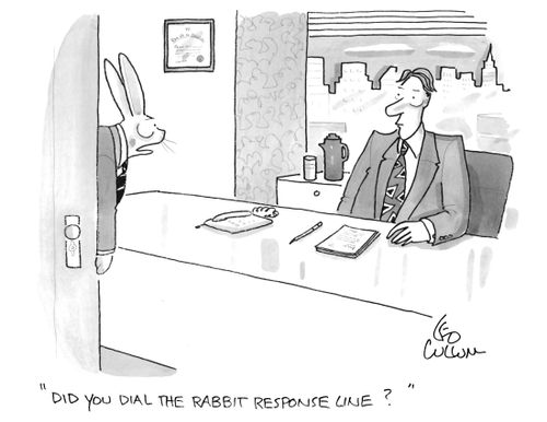 "Did you dial the rabbit response line?"