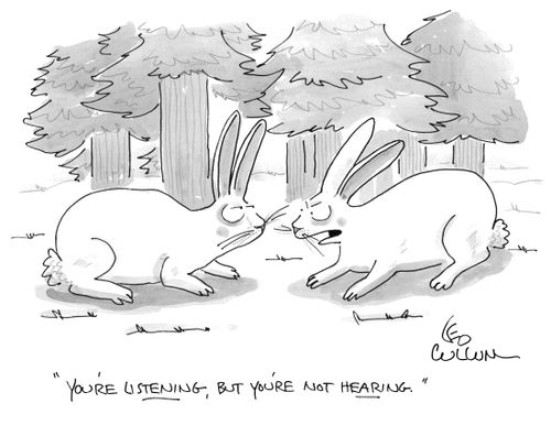 "You're listening, but you're not hearing."