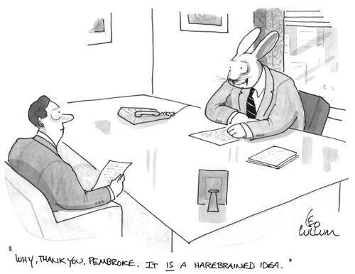 "Why, thank you, pembroke. It is a harebrained idea."