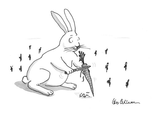 A rabbit peeling a carrot before he eats it.