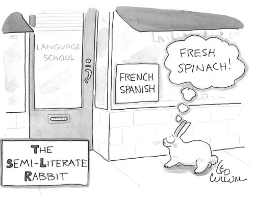 The Semi-Literate Rabbit.