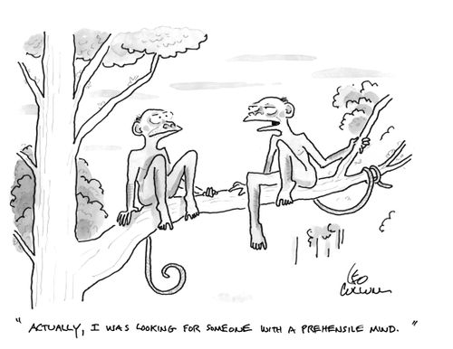 "Actually, I was looking for someone with a prehensile mind."
