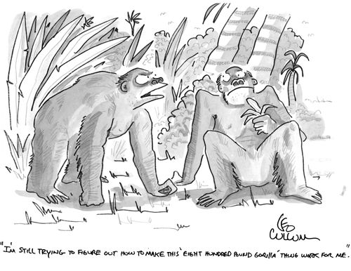 "I'm still trying to figure out how to make this 'eight hundred pound gorilla' thing work for me."