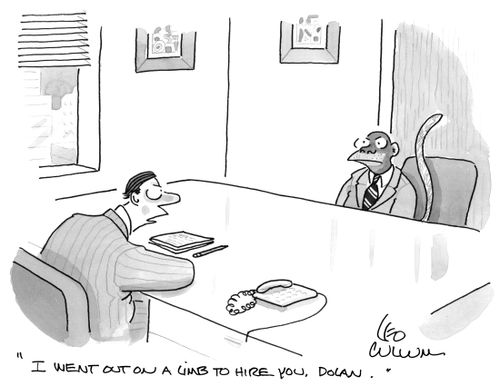 "I went out on a limb to hire you. Dolan."