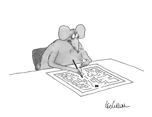 Mouse doing a maze.