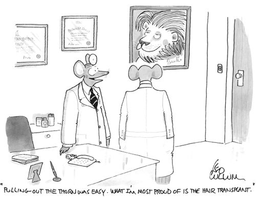 "Pulling out the thorn was easy. What I'm most proud of is the hair transplant."