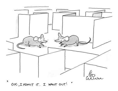 "O.K., I admit it. I want out!"