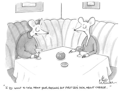 "I do want to talk about your feelings but first let's talk about cheese."