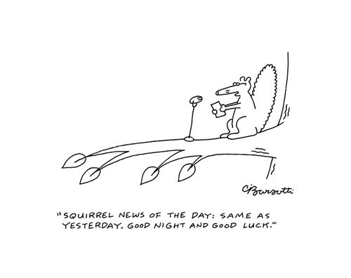 "Squirrel news of the day: Same as yesterday. Good night and good luck."