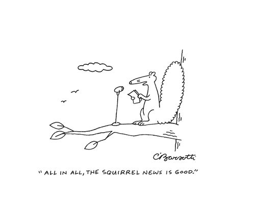 "All in all, the squirrel news is good."