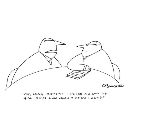 "OK, high jinks - if I plead guilty to high jinks how much time do I get?"
