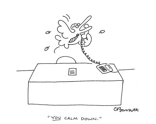 "You calm down."