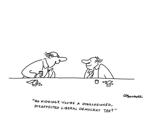 "No kidding? You're a disillusioned,disaffected liberal democrat too?"