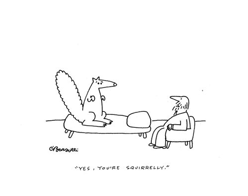 "Yes, you're squirrelly."