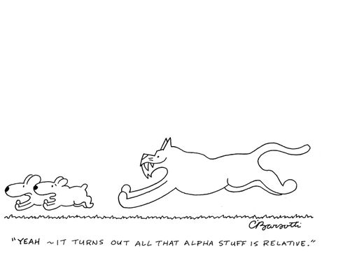 "Yeah - it turns out all that alpha stuff is relative."