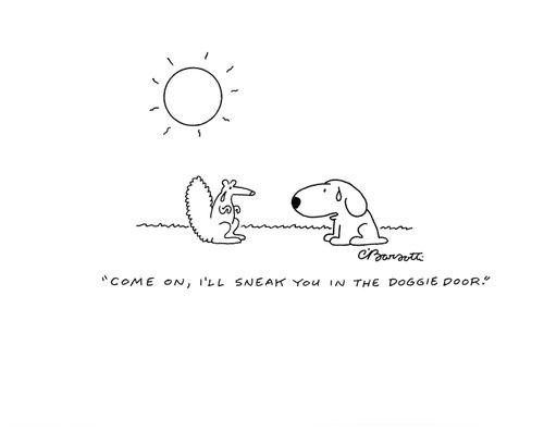 "Come on, I'll sneak you in the doggie door."