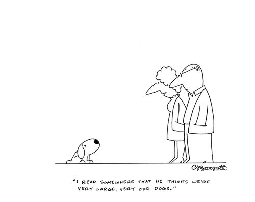 "I read somewhere that he thinks we're very large, very odd dogs."